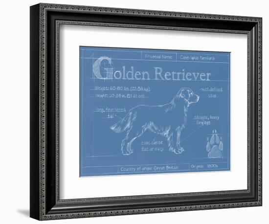 Blueprint Golden Retriever-Ethan Harper-Framed Art Print