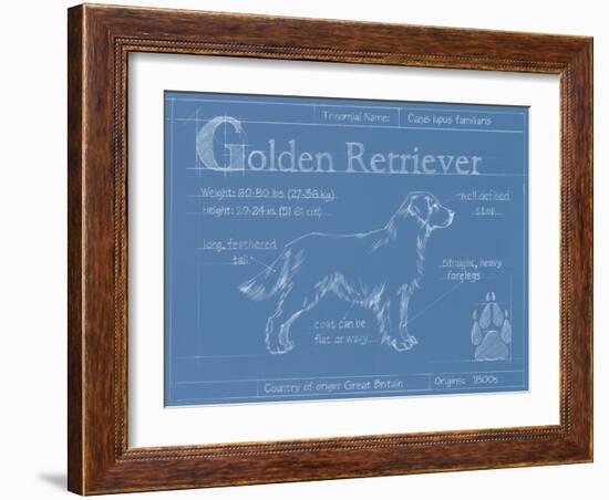 Blueprint Golden Retriever-Ethan Harper-Framed Art Print