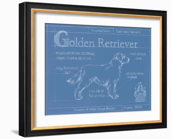 Blueprint Golden Retriever-Ethan Harper-Framed Art Print