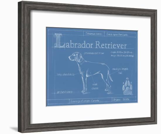 Blueprint Labrador Retriever-Ethan Harper-Framed Art Print