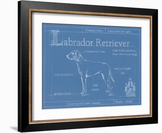 Blueprint Labrador Retriever-Ethan Harper-Framed Art Print