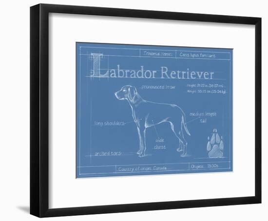 Blueprint Labrador Retriever-Ethan Harper-Framed Art Print