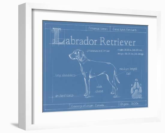 Blueprint Labrador Retriever-Ethan Harper-Framed Art Print