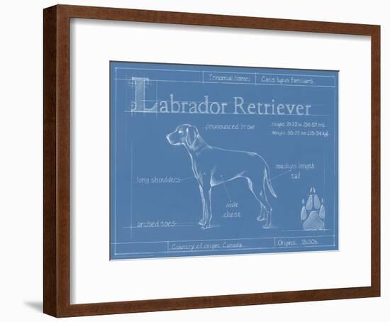 Blueprint Labrador Retriever-Ethan Harper-Framed Art Print