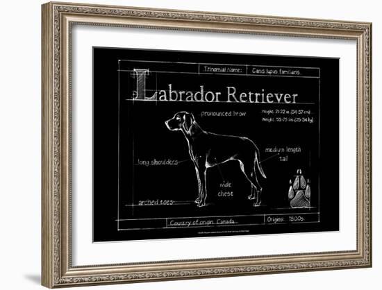 Blueprint Labrador Retriever-Ethan Harper-Framed Art Print