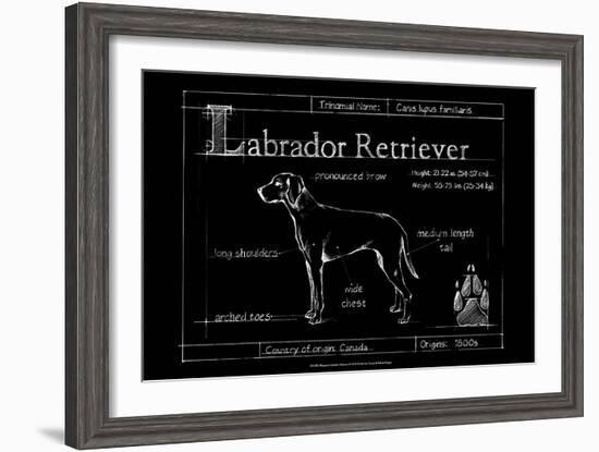 Blueprint Labrador Retriever-Ethan Harper-Framed Art Print