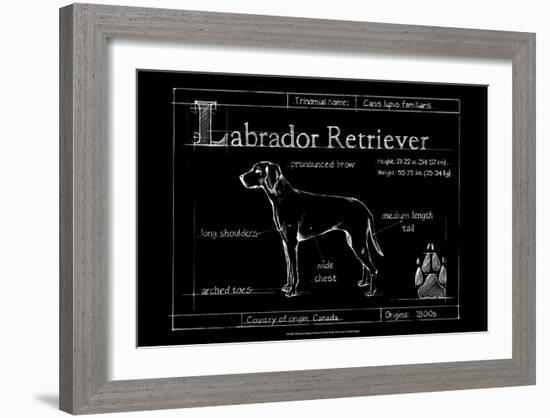 Blueprint Labrador Retriever-Ethan Harper-Framed Art Print