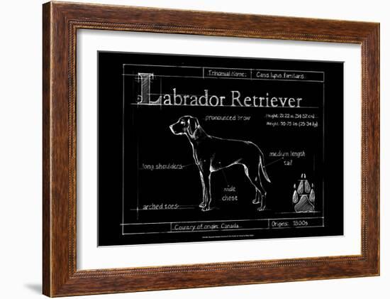 Blueprint Labrador Retriever-Ethan Harper-Framed Art Print