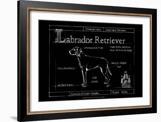 Blueprint Labrador Retriever-Ethan Harper-Framed Art Print