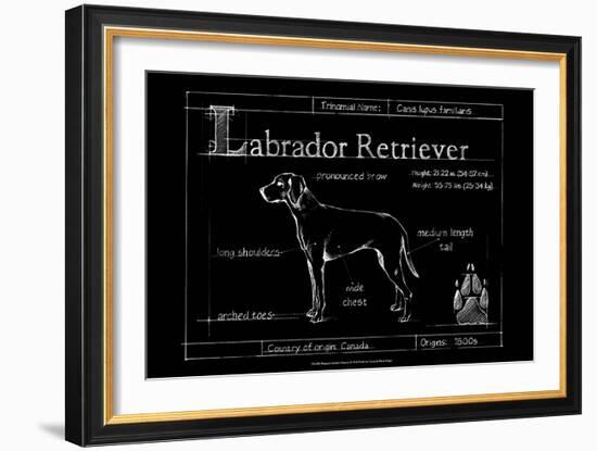 Blueprint Labrador Retriever-Ethan Harper-Framed Art Print