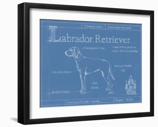 Blueprint Labrador Retriever-Ethan Harper-Framed Art Print