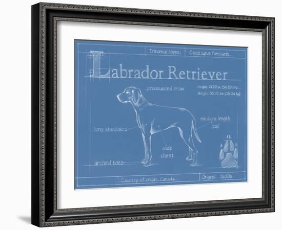 Blueprint Labrador Retriever-Ethan Harper-Framed Art Print