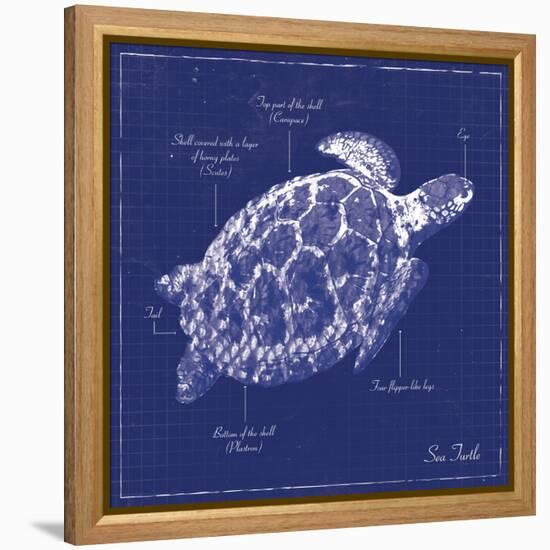 Blueprint Sea Turtle-Piper Ballantyne-Framed Stretched Canvas