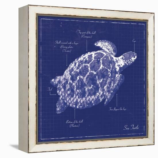 Blueprint Sea Turtle-Piper Ballantyne-Framed Stretched Canvas