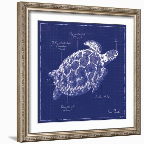 Blueprint Sea Turtle-Piper Ballantyne-Framed Art Print