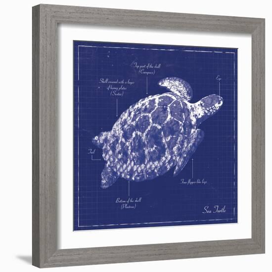 Blueprint Sea Turtle-Piper Ballantyne-Framed Art Print