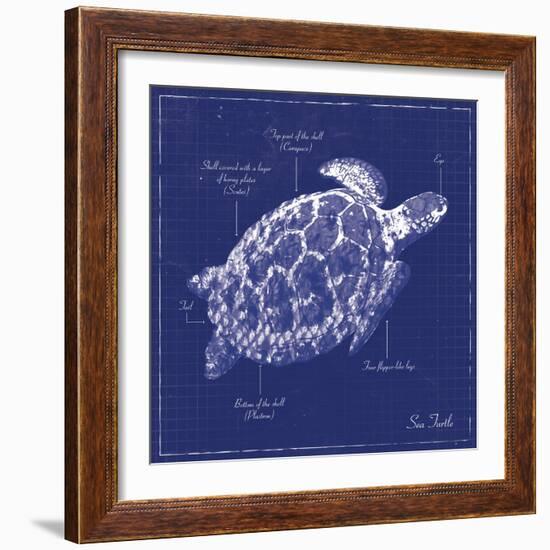 Blueprint Sea Turtle-Piper Ballantyne-Framed Art Print