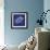 Blueprint Sea Turtle-Piper Ballantyne-Framed Art Print displayed on a wall