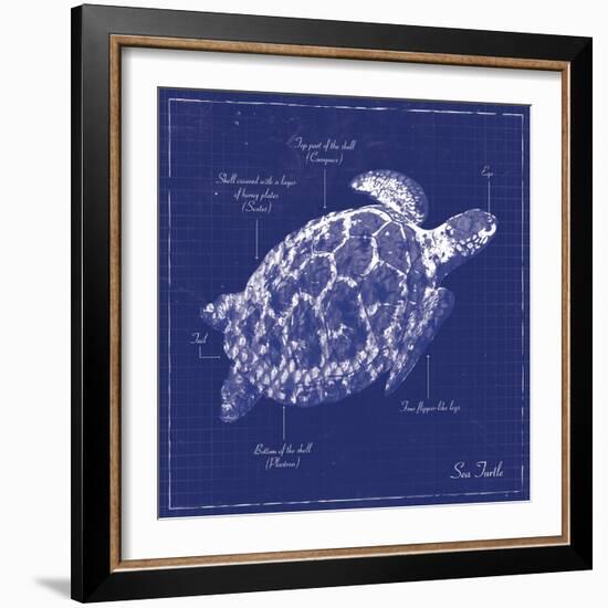 Blueprint Sea Turtle-Piper Ballantyne-Framed Art Print