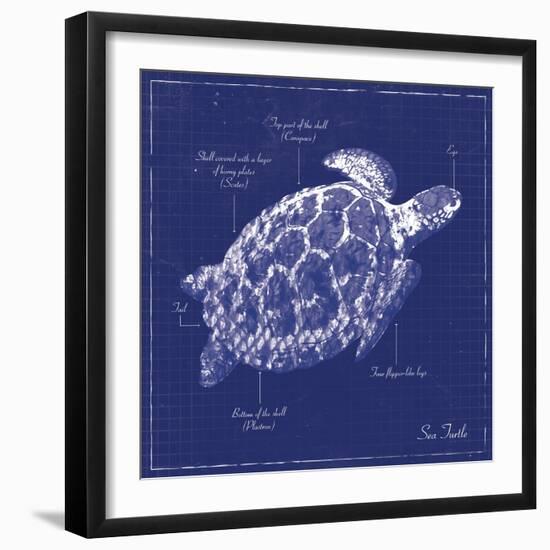 Blueprint Sea Turtle-Piper Ballantyne-Framed Art Print