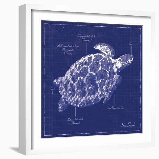 Blueprint Sea Turtle-Piper Ballantyne-Framed Art Print