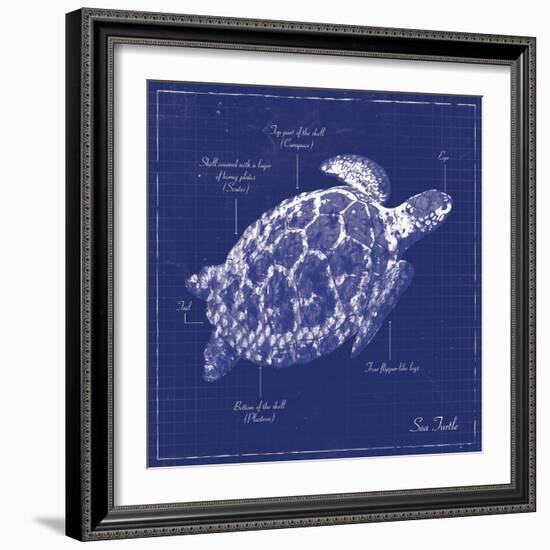 Blueprint Sea Turtle-Piper Ballantyne-Framed Art Print