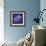 Blueprint Sea Turtle-Piper Ballantyne-Framed Premium Giclee Print displayed on a wall