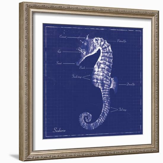 Blueprint Seahorse-Piper Ballantyne-Framed Art Print