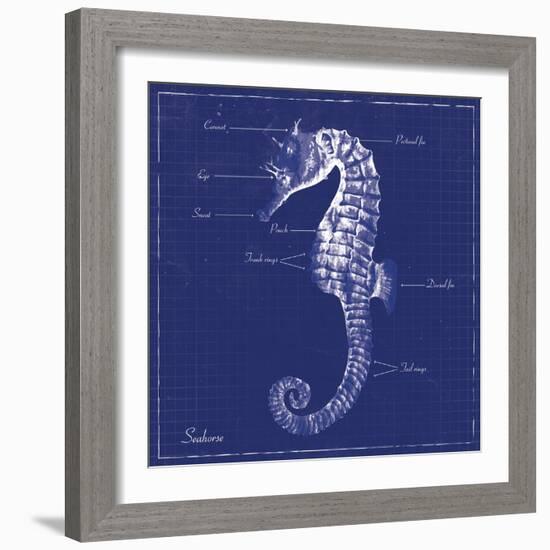 Blueprint Seahorse-Piper Ballantyne-Framed Art Print