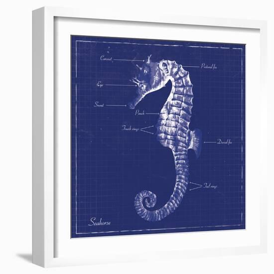 Blueprint Seahorse-Piper Ballantyne-Framed Art Print