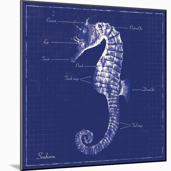 Blueprint Seahorse-Piper Ballantyne-Mounted Art Print
