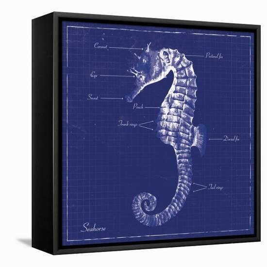 Blueprint Seahorse-Piper Ballantyne-Framed Stretched Canvas