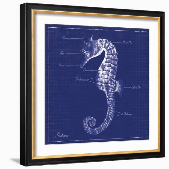 Blueprint Seahorse-Piper Ballantyne-Framed Premium Giclee Print