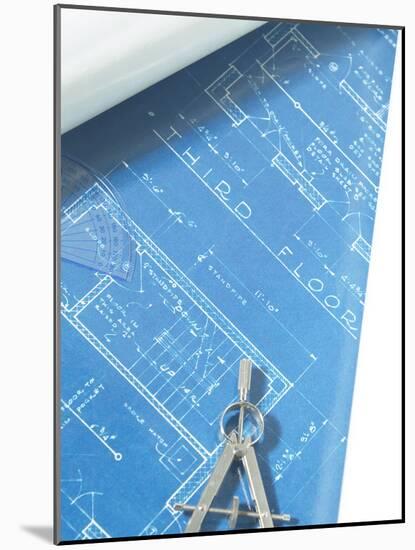 Blueprint-null-Mounted Photographic Print