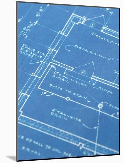 Blueprint-null-Mounted Photographic Print