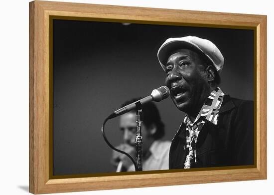 Bluesman Muddy Waters (1915-1983) on Stage in 1982-null-Framed Stretched Canvas