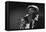Bluesman Muddy Waters (1915-1983) on Stage in 1982-null-Framed Stretched Canvas
