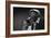 Bluesman Muddy Waters (1915-1983) on Stage in 1982-null-Framed Photo