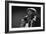 Bluesman Muddy Waters (1915-1983) on Stage in 1982-null-Framed Photo