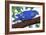 Bluest Bird-Ric Stultz-Framed Giclee Print