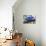 Bluest Bird-Ric Stultz-Mounted Giclee Print displayed on a wall