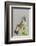 Bluethroat-Ken Archer-Framed Photographic Print