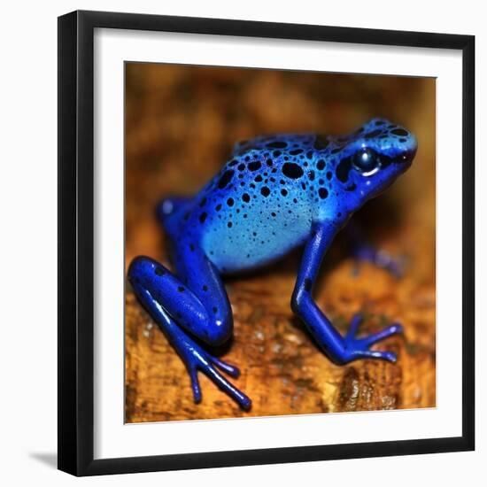 Bluetiful - preparatory-Ben Heine-Framed Photographic Print