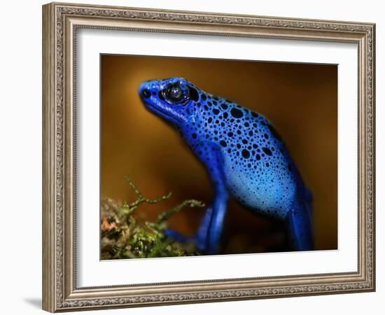 Bluetiful-Ben Heine-Framed Photographic Print