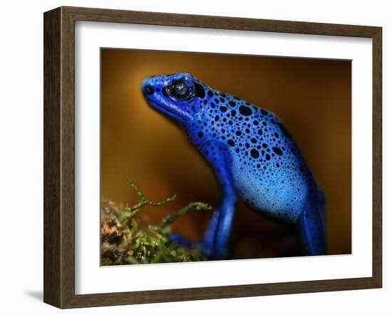 Bluetiful-Ben Heine-Framed Photographic Print