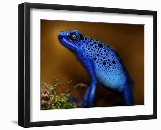 Bluetiful-Ben Heine-Framed Photographic Print