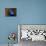 Bluetiful-Ben Heine-Mounted Photographic Print displayed on a wall