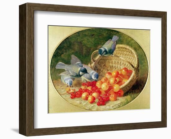 Bluetits Pecking at Cherries, 1897-Eloise Harriet Stannard-Framed Giclee Print