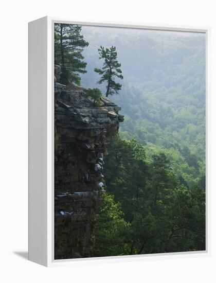 Bluff at Cedar Creek, Petit Jean State Park, Arkansas, USA-Charles Gurche-Framed Premier Image Canvas