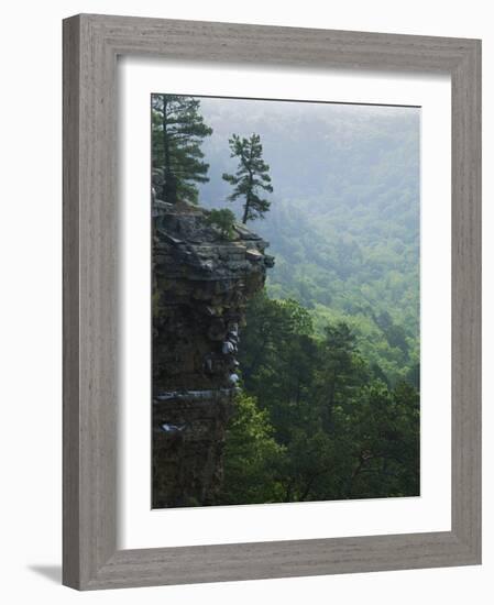 Bluff at Cedar Creek, Petit Jean State Park, Arkansas, USA-Charles Gurche-Framed Photographic Print